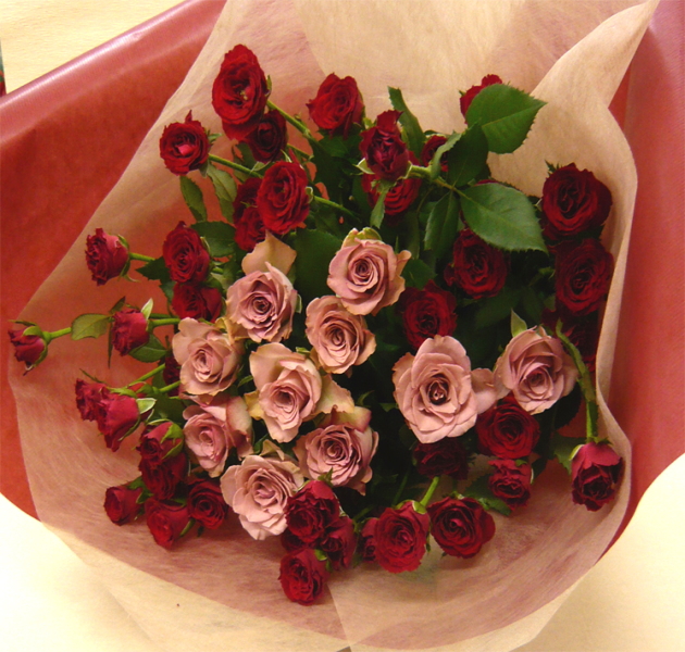 ����ԁ@���ԉԑ�/�n���E�B���Ɛԃo���̃u�[�P